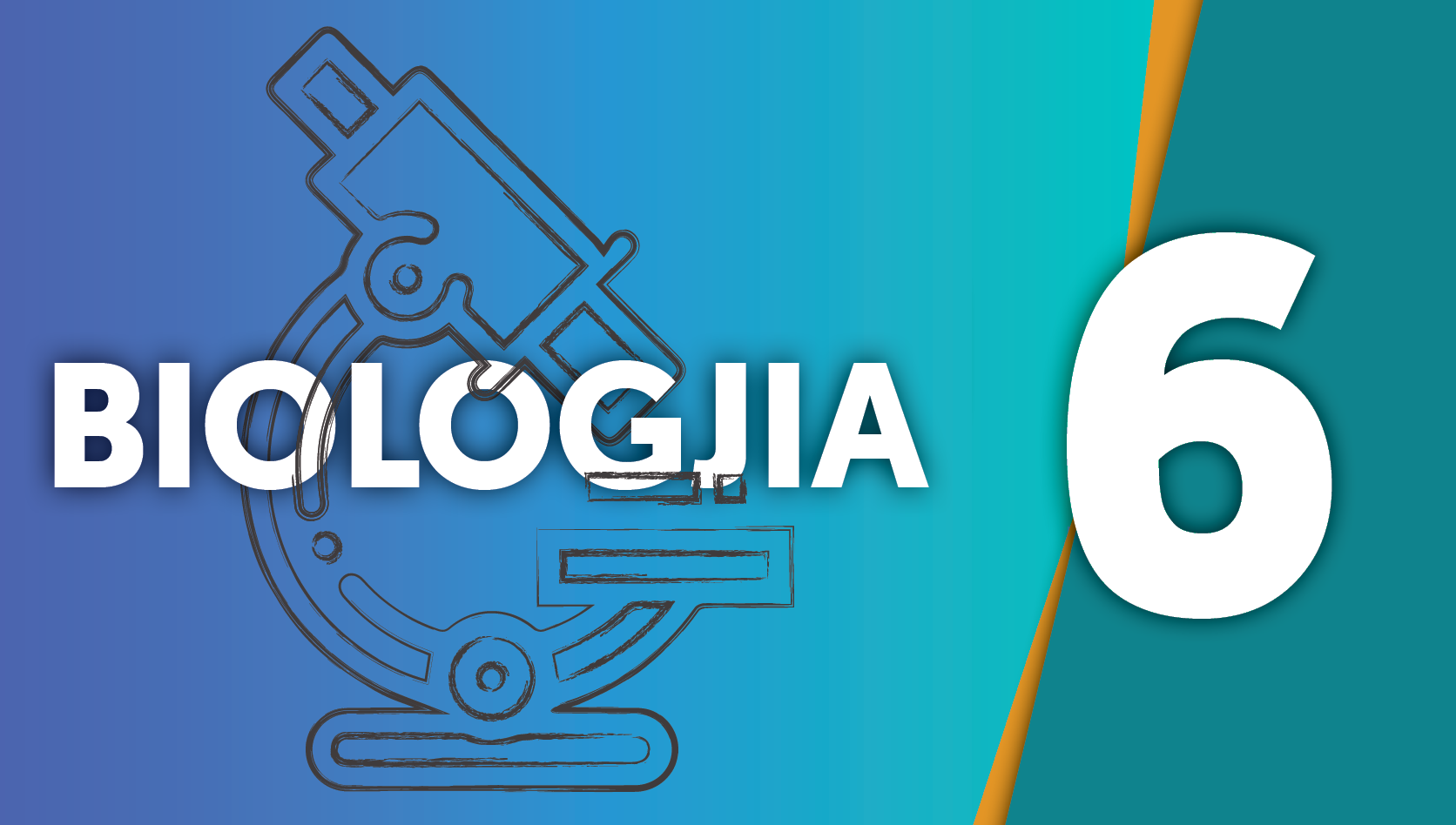 Biologji - Klasa e gjashtë Image